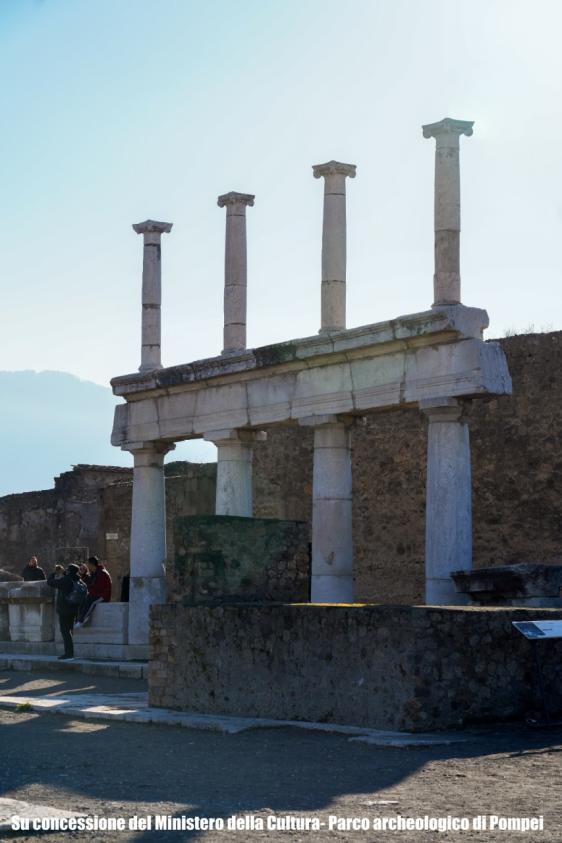 Pompei salta-fila: Tour di gruppo 2h all inclusive con guida certificata-12