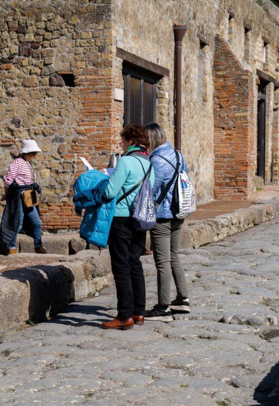 From Sorrento: Pompeii 2h group tour with an archaelogist + express ticket + train tickets-16