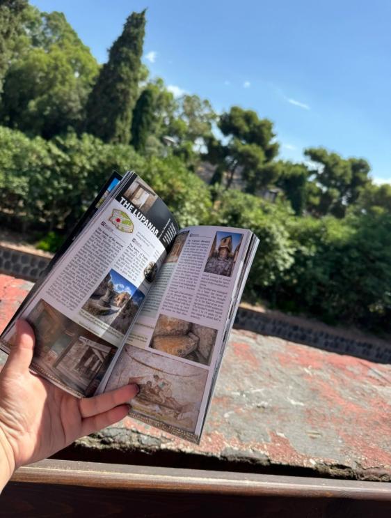 Pompeii: Skip the line ticket (art) + guide book + map-6