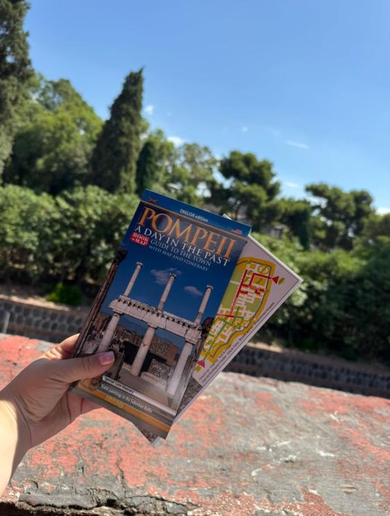 Pompeii: Skip the line ticket (art) + guide book + map