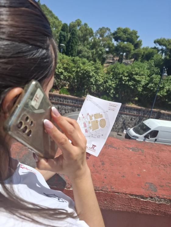 Pompeii: Skip the line ticket (art) + audioguide + map