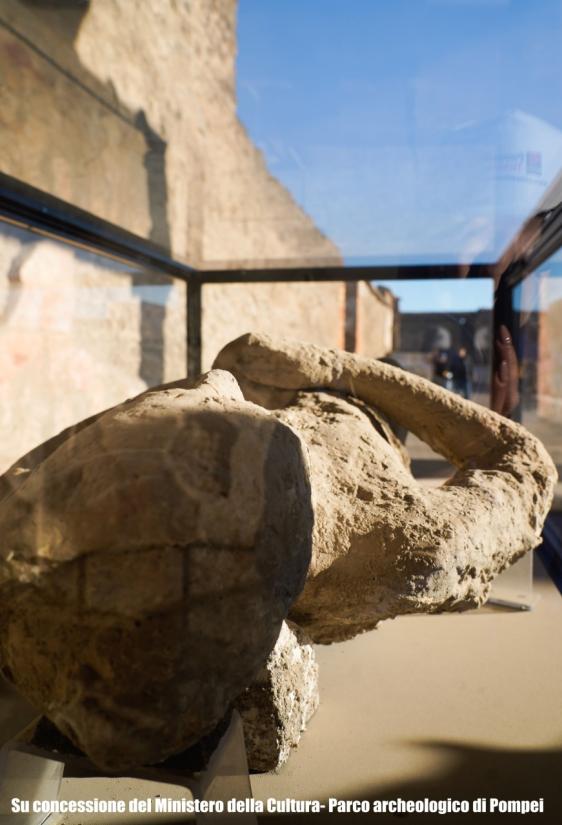 Pompeya: tour guiado de 2 horas con entrada sin colas-8