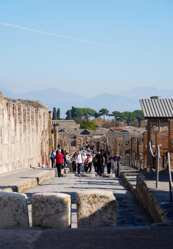 From Sorrento: Pompeii 2h group tour with an archaelogist + express ticket + train tickets-8
