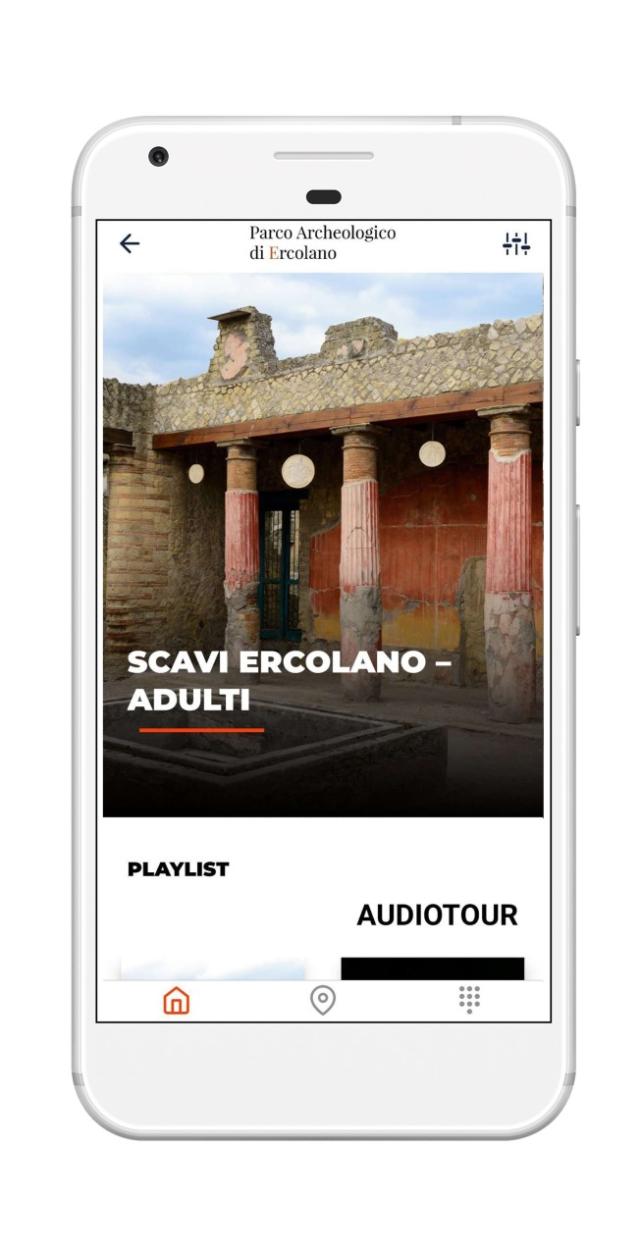 Herculaneum: Skip-the-line entry ticket (art) + audioguide & map