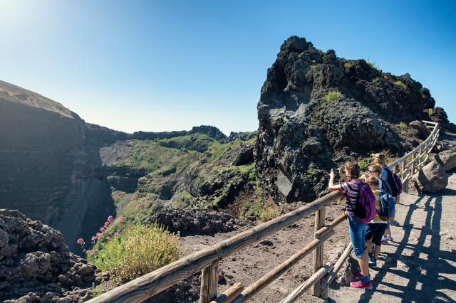 Pompei & Vesuvio: Premium Tour con guida privata e transfer da Sorrento