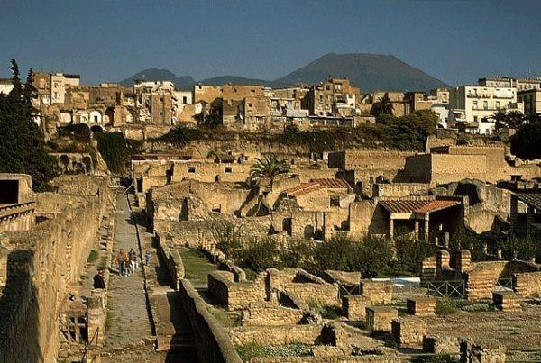 Herculaneum: All inclusive 2h group tour with a certified guide + ticket + map