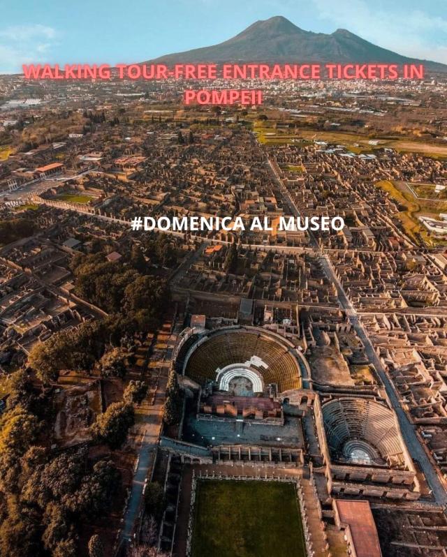 Pompeii: 2h Group Tour with a certified licensed guide/ Free entrance days (no ticket)