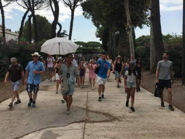 Pompei: 2h Group Tour with a certified licensed guide (no ticket)
