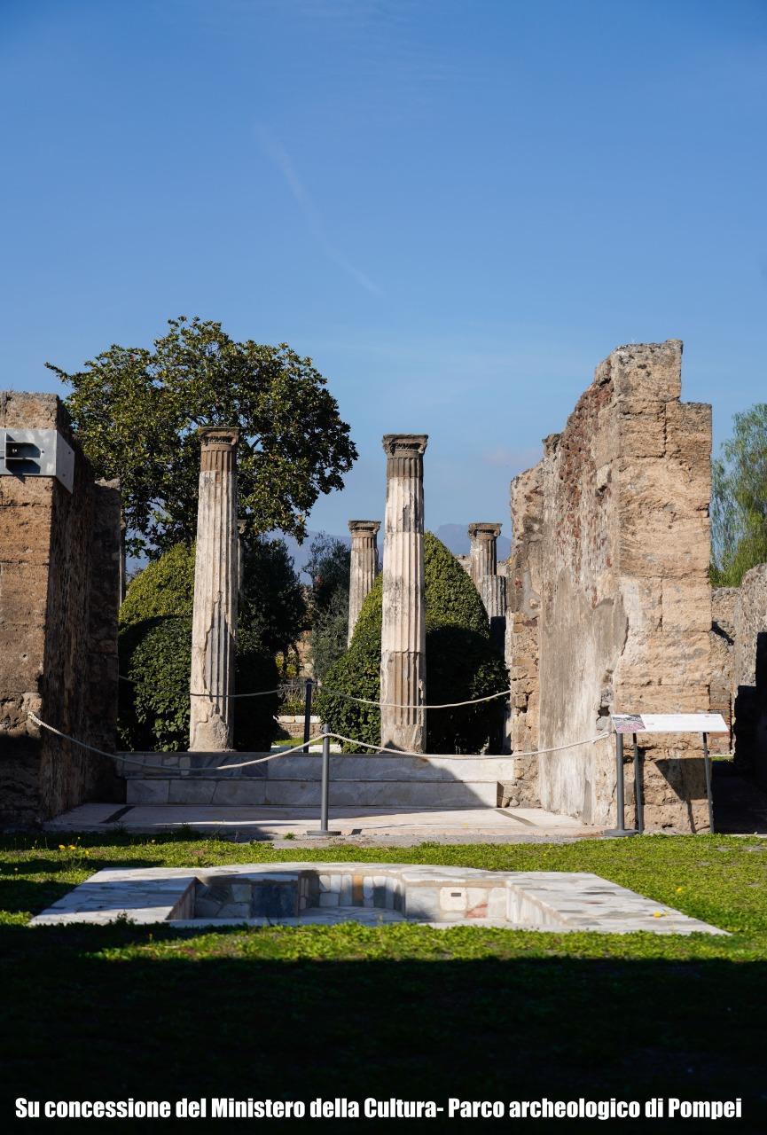 Pompeya: tour guiado de 2 horas con entrada sin colas-2