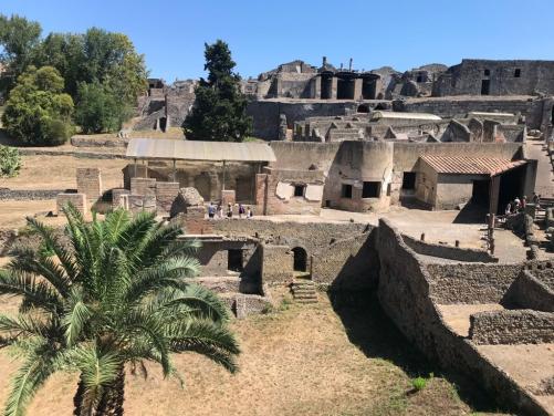 Discover Pompeii and Vesuvius on a full day trip from Pompeii-3