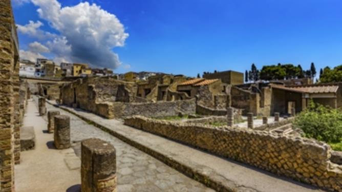 Herculaneum: All inclusive 2h group tour with a certified guide + ticket + map-13