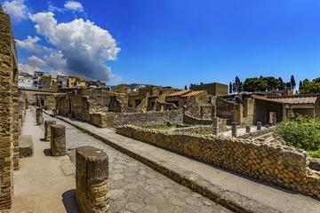 Ercolano & Pompei: Tour privato full day con una guida certificata-10
