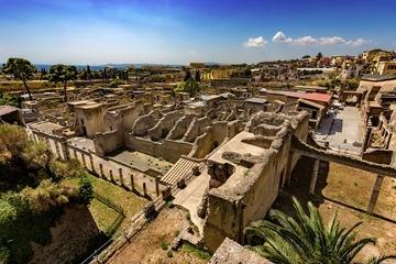 Pompeii & Herculaneum: Full-day group tours with a certified licensed guide-15