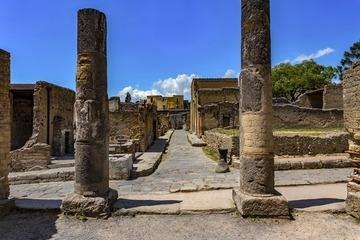 Herculaneum: All inclusive 2h group tour with a certified guide + ticket + map-11