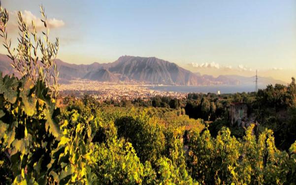 From Pompei: wine tasting at the aches of Mt.Vesuvius