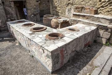 Herculaneum: All inclusive 2h group tour with a certified guide + ticket + map-4