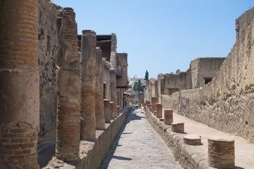 Herculaneum: All inclusive 2h group tour with a certified guide + ticket + map-6